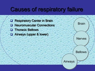 Causes of respiratory failure
 Respiratory Center in Brain
                                           Brain
 Neuromuscular Connections
 Thoracic Bellows
 Airways (upper & lower)
                                          Nerves



                                          Bellows


                                Airways
 