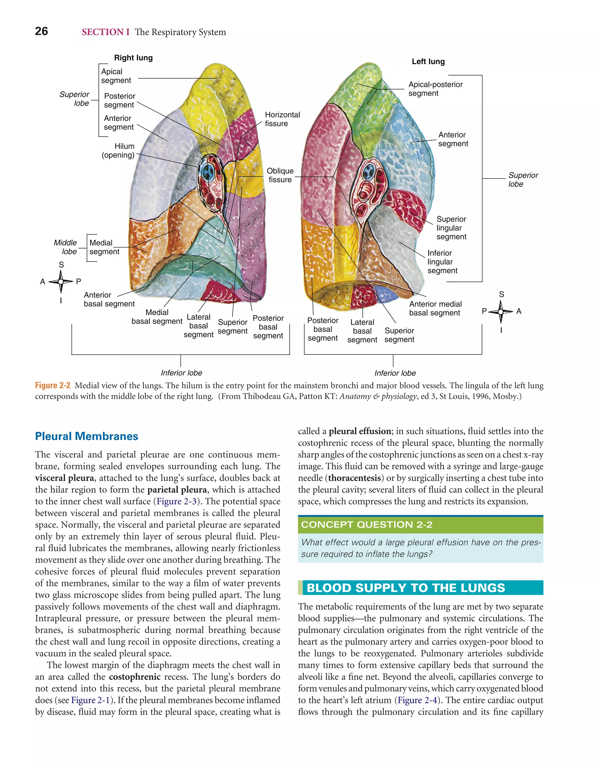Respiratory Care Anatomy and Physiology (3rd ed).pdf