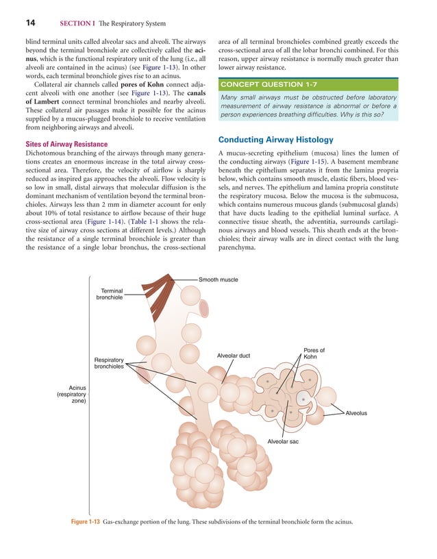 Respiratory Care Anatomy and Physiology (3rd ed).pdf
