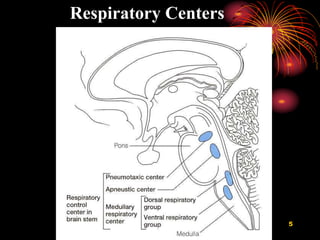 Respiratory Center.ppt