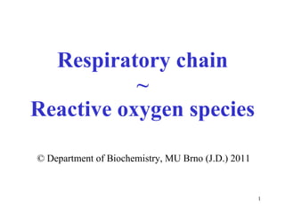 Respiratory chain ~ Rea ctive oxygen species ©   Department of  Biochemi stry, MU Brno  (J.D.) 2011 