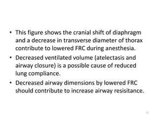 • This figure shows the cranial shift of diaphragm
and a decrease in transverse diameter of thorax
contribute to lowered FRC during anesthesia.
• Decreased ventilated volume (atelectasis and
airway closure) is a possible cause of reduced
lung compliance.
• Decreased airway dimensions by lowered FRC
should contribute to increase airway resisitance.
12
 