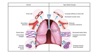 respiratory changes in elder - final editing.pptx