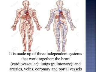 It is made up of three independent systems
that work together: the heart
(cardiovascular); lungs (pulmonary); and
arteries, veins, coronary and portal vessels
 