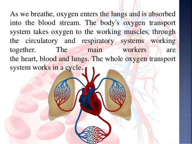 Respiratory & Circulatory System