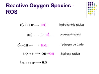 H2o2 Radical respiratory control important topics.ppt