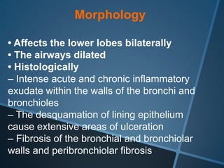Morphology

• Affects the lower lobes bilaterally
• The airways dilated
• Histologically
– Intense acute and chronic inflammatory
exudate within the walls of the bronchi and
bronchioles
– The desquamation of lining epithelium
cause extensive areas of ulceration
– Fibrosis of the bronchial and bronchiolar
walls and peribronchiolar fibrosis
 