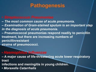 Pathogenesis

• Streptococcus Pneumoniae
– The most common cause of acute pneumonia.
– Examination of Gram-stained sputum is an important step
in the diagnosis of acute pneumonia.
– Pneumococcal pneumonias respond readily to penicillin
treatment, but there are increasing numbers of
penicillinresistant
strains of pneumococci.

• Haemophilus Influenzae
– A major cause of life-threatening acute lower respiratory
tract
infections and meningitis in young children.
• Moraxella Catarrhalis
 