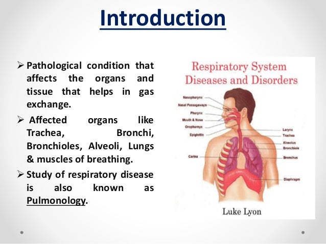Respiratory disease and its management Respiratory disease and its management