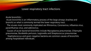 Lower respiratory tract infections
Acute bronchitis :
Acute bronchitis is an inflammatory process of the large airways (trachea and
bronchi) or what is commonly termed the lower respiratory tract.
The viruses most commonly implicated are Rhinovirus, Coronavirus, influenza virus,
parainfluenza virus, and adenovirus.
Causes of acute bacterial bronchitis include Mycoplasma pneumoniae, Chlamydia
pneumoniae, Bordetella pertussis, Legionella and Streptococcus pneumoniae.
Staphylococcus and gram-negative bacteria are common causes of bronchitis
among hospitalized individuals.
 