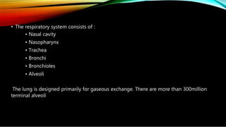 • The respiratory system consists of :
• Nasal cavity
• Nasopharynx
• Trachea
• Bronchi
• Bronchioles
• Alveoli
The lung is designed primarily for gaseous exchange. There are more than 300million
terminal alveoli
 