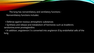 The lung has nonventilatory and ventilatory functions :
Nonventilatory functions includes:
• Defense against noxious atmospheric substances
• Synthesis and release and metabolism of hormones such as bradikinin,
serotonine,some prostaglandins
• In addition, angiotensin I is converted into angitensin II by endothelial cells of the
lung
 