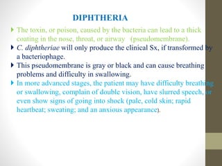 DIPHTHERIA
 The toxin, or poison, caused by the bacteria can lead to a thick
coating in the nose, throat, or airway (pseudomembrane).
 C. diphtheriae will only produce the clinical Sx, if transformed by
a bacteriophage.
 This pseudomembrane is gray or black and can cause breathing
problems and difficulty in swallowing.
 In more advanced stages, the patient may have difficulty breathing
or swallowing, complain of double vision, have slurred speech, or
even show signs of going into shock (pale, cold skin; rapid
heartbeat; sweating; and an anxious appearance).
 