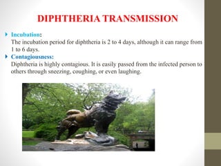 DIPHTHERIA TRANSMISSION
 Incubation:
The incubation period for diphtheria is 2 to 4 days, although it can range from
1 to 6 days.
 Contagiousness:
Diphtheria is highly contagious. It is easily passed from the infected person to
others through sneezing, coughing, or even laughing.
 
