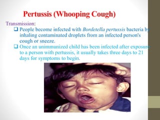 Pertussis (Whooping Cough)
Transmission:
 People become infected with Bordetella pertussis bacteria by
inhaling contaminated droplets from an infected person's
cough or sneeze.
 Once an unimmunized child has been infected after exposure
to a person with pertussis, it usually takes three days to 21
days for symptoms to begin.
 