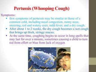 Pertussis (Whooping Cough)
Symptoms:
 first symptoms of pertussis may be similar to those of a
common cold, including nasal congestion, runny nose,
sneezing, red and watery eyes, mild fever, and a dry cough.
 After about 1 to 2 weeks, the dry cough becomes a wet cough
that brings up thick, stringy mucus.
 At the same time, coughing begins to occur in long spells that
may last for over a minute, sometimes causing a child to turn
red from effort or blue from lack of oxygen.
 
