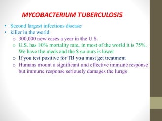 MYCOBACTERIUM TUBERCULOSIS
• Second largest infectious disease
• killer in the world
o 300,000 new cases a year in the U.S.
o U.S. has 10% mortality rate, in most of the world it is 75%.
We have the meds and the $ so ours is lower
o If you test positive for TB you must get treatment
o Humans mount a significant and effective immune response
but immune response seriously damages the lungs
 