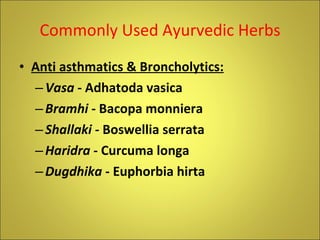 Commonly Used Ayurvedic Herbs Anti asthmatics & Broncholytics: Vasa  - Adhatoda vasica Bramhi  - Bacopa monniera Shallaki -  Boswellia serrata Haridra  - Curcuma longa Dugdhika  - Euphorbia hirta 