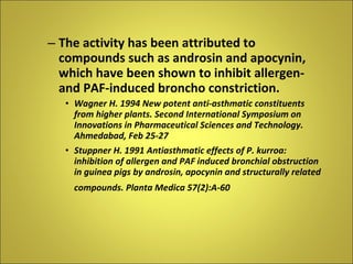 The activity has been attributed to compounds such as androsin and apocynin, which have been shown to inhibit allergen- and PAF-induced broncho constriction. Wagner H. 1994 New potent anti-asthmatic constituents from higher plants. Second International Symposium on Innovations in Pharmaceutical Sciences and Technology.  Ahmedabad, Feb 25-27 Stuppner H. 1991 Antiasthmatic effects of P. kurroa: inhibition of allergen and PAF induced bronchial obstruction in guinea pigs by androsin, apocynin and structurally related compounds. Planta Medica 57(2):A-60 