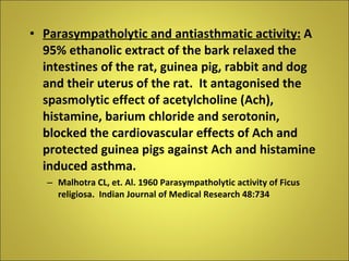 Parasympatholytic and antiasthmatic activity:  A 95% ethanolic extract of the bark relaxed the intestines of the rat, guinea pig, rabbit and dog and their uterus of the rat.  It antagonised the spasmolytic effect of acetylcholine (Ach), histamine, barium chloride and serotonin, blocked the cardiovascular effects of Ach and protected guinea pigs against Ach and histamine induced asthma. Malhotra CL, et. Al. 1960 Parasympatholytic activity of Ficus religiosa.  Indian Journal of Medical Research 48:734 