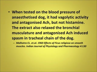 When tested on the blood pressure of anaesthetised dog, it had vagolytic activity and antagonised Ach, but not histamine. The extract also relaxed the bronchial musculature and antagonised Ach induced spasm in tracheal chain of the dog. Malhotra CL. et.al. 1960 Effects of Ficus religiosa on smooth muscles. Indian Journal of Physiology and Pharmacology 4:130 