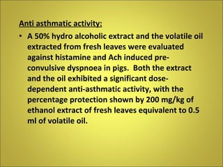 Anti asthmatic activity: A 50% hydro alcoholic extract and the volatile oil extracted from fresh leaves were evaluated against histamine and Ach induced pre-convulsive dyspnoea in pigs.  Both the extract and the oil exhibited a significant dose-dependent anti-asthmatic activity, with the percentage protection shown by 200 mg/kg of ethanol extract of fresh leaves equivalent to 0.5 ml of volatile oil.  