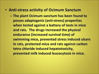 Anti-stress activity of Ocimum Sanctum The plant Ocimum sanctum has been found to posses adaptogenic (anti-stress) properties when tested against a battery of tests in mice and rats.  The drugs increased the physical endurance (increased survival time) of swimming mice, prevented stress induced ulcers in rats, protected mice and rats against carbon tetra chloride induced hepatotoxicity, prevented milk induced leucocytosis in mice.  