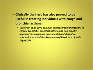Clinically the herb has also proved to be useful in treating individuals with cough and bronchial asthma. Vector NP et.al. 1971 Solanum xanthocarpum (Kantakari) in chronic bronchitis, bronchial asthma and non-specific unproductive cough (an experimental and clinical co-relation). Journal of the Association of Physicians of India 19(10):741 