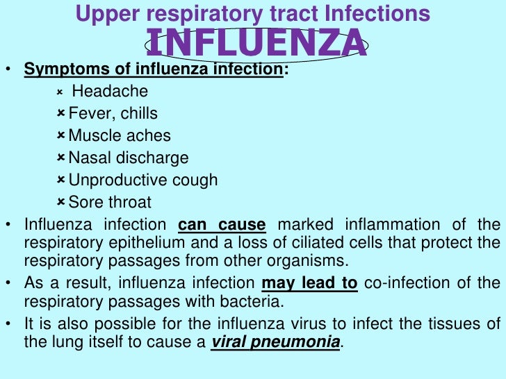 How Does The Respiratory System Protect Itself From Infection Respiratory Diseases