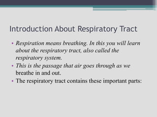 Introduction About Respiratory Tract
• Respiration means breathing. In this you will learn
about the respiratory tract, also called the
respiratory system.
• This is the passage that air goes through as we
breathe in and out.
• The respiratory tract contains these important parts:
 