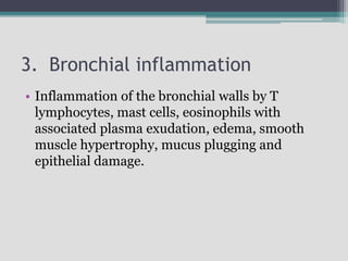 3. Bronchial inflammation
• Inflammation of the bronchial walls by T
lymphocytes, mast cells, eosinophils with
associated plasma exudation, edema, smooth
muscle hypertrophy, mucus plugging and
epithelial damage.
 