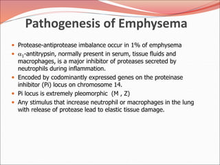 Pathogenesis of Emphysema
 Protease-antiprotease imbalance occur in 1% of emphysema
 1-antitrypsin, normally present in serum, tissue fluids and
macrophages, is a major inhibitor of proteases secreted by
neutrophils during inflammation.
 Encoded by codominantly expressed genes on the proteinase
inhibitor (Pi) locus on chromosome 14.
 Pi locus is extremely pleomorphic (M , Z)
 Any stimulus that increase neutrophil or macrophages in the lung
with release of protease lead to elastic tissue damage.
 
