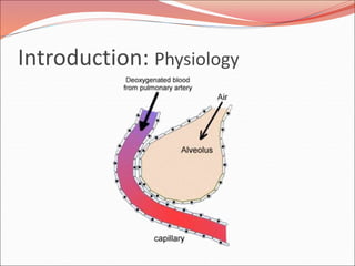 Introduction: Physiology
 