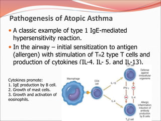 Pathogenesis of Atopic Asthma
 A classic example of type 1 IgE-mediated
hypersensitivity reaction.
 In the airway – initial sensitization to antigen
(allergen) with stimulation of TH2 type T cells and
production of cytokines (IL-4, IL- 5, and IL-13).
Cytokines promote:
1. IgE production by B cell.
2. Growth of mast cells.
3. Growth and activation of
eosinophils.
 