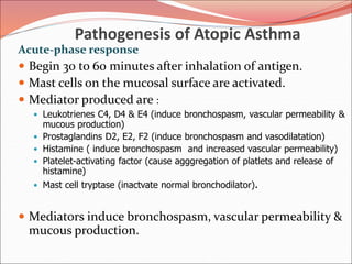 Pathogenesis of Atopic Asthma
Acute-phase response
 Begin 30 to 60 minutes after inhalation of antigen.
 Mast cells on the mucosal surface are activated.
 Mediator produced are :
 Leukotrienes C4, D4 & E4 (induce bronchospasm, vascular permeability &
mucous production)
 Prostaglandins D2, E2, F2 (induce bronchospasm and vasodilatation)
 Histamine ( induce bronchospasm and increased vascular permeability)
 Platelet-activating factor (cause agggregation of platlets and release of
histamine)
 Mast cell tryptase (inactvate normal bronchodilator).
 Mediators induce bronchospasm, vascular permeability &
mucous production.
 