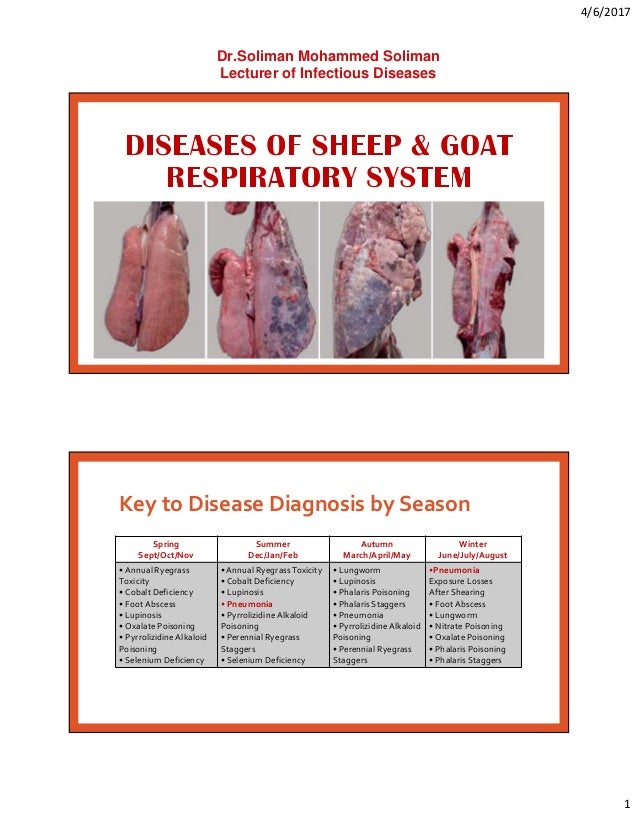 Respiratory diseases of sheep and goats