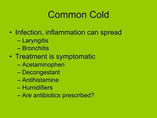 Common Cold Infection, inflammation can spread Laryngitis Bronchitis Treatment is symptomatic Acetaminophen Decongestant Antihistamine Humidifiers Are antibiotics prescribed? 