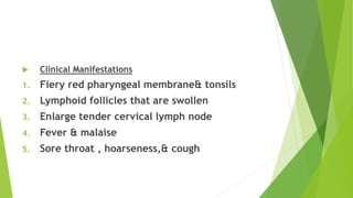 Clinical Manifestations
1. Fiery red pharyngeal membrane& tonsils
2. Lymphoid follicles that are swollen
3. Enlarge tend...