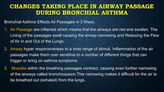 CHANGES TAKING PLACE IN AIRWAY PASSAGE
DURING BRONCHIAL ASTHMA
Bronchial Asthma Effects Air Passages in 3 Ways;
1. Air Passage are inflamed which means that the airways are red and swollen. The
Lining of the passages swell causing the airway narrowing and Reducing the Flow
of Air in and Out of the Lungs.
2. Airway hyper responsiveness to a wide range of stimuli. Inflammation of the air
passages make them over sensitive to a number of different things that can
trigger or bring on asthma symptoms.
3. Muscles within the breathing passages contract, causing even further narrowing
of the airways called bronchospasm.This narrowing makes it difficult for the air to
be breathed out (exhaled) from the lungs.
 