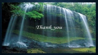 Respiratory Disorders PPT