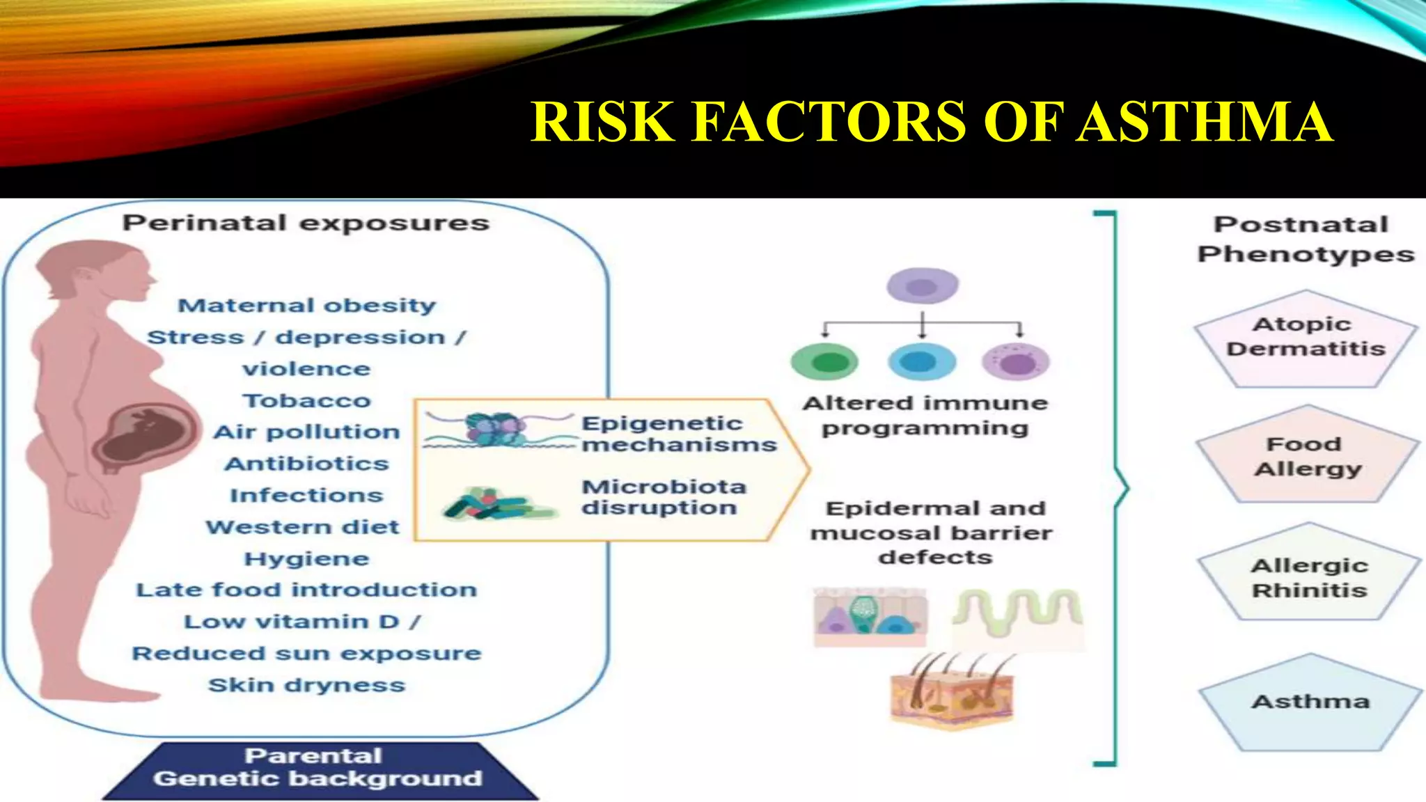 Respiratory Disorders In Pregnancy 26092023.pptx