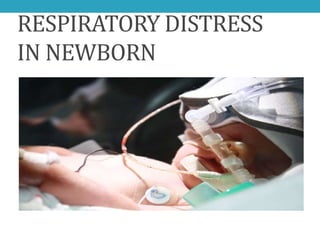 RESPIRATORY DISTRESS
IN NEWBORN
 