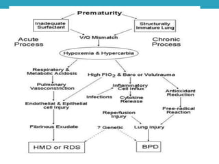 Respiratory distress in newborn | PPTX