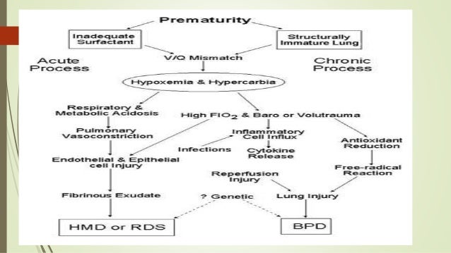 pbl preterm delivery and rds Delivery room cpap delivery room continuous positive airway pressure/positive end-expiratory pressure in extremely low birth pbl preterm delivery and rds essay. pbl preterm delivery and rds Delivery room cpap delivery room continuous positive airway pressure/positive end-expiratory pressure in extremely low birth pbl preterm delivery and rds essay.