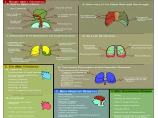 Respiratory distress in the newborn | PPTX