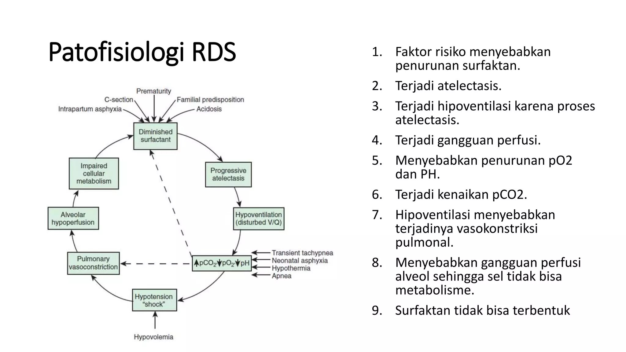 Pathophysiology For Rds Respiratory Distress Syndrome (RDS).pptx