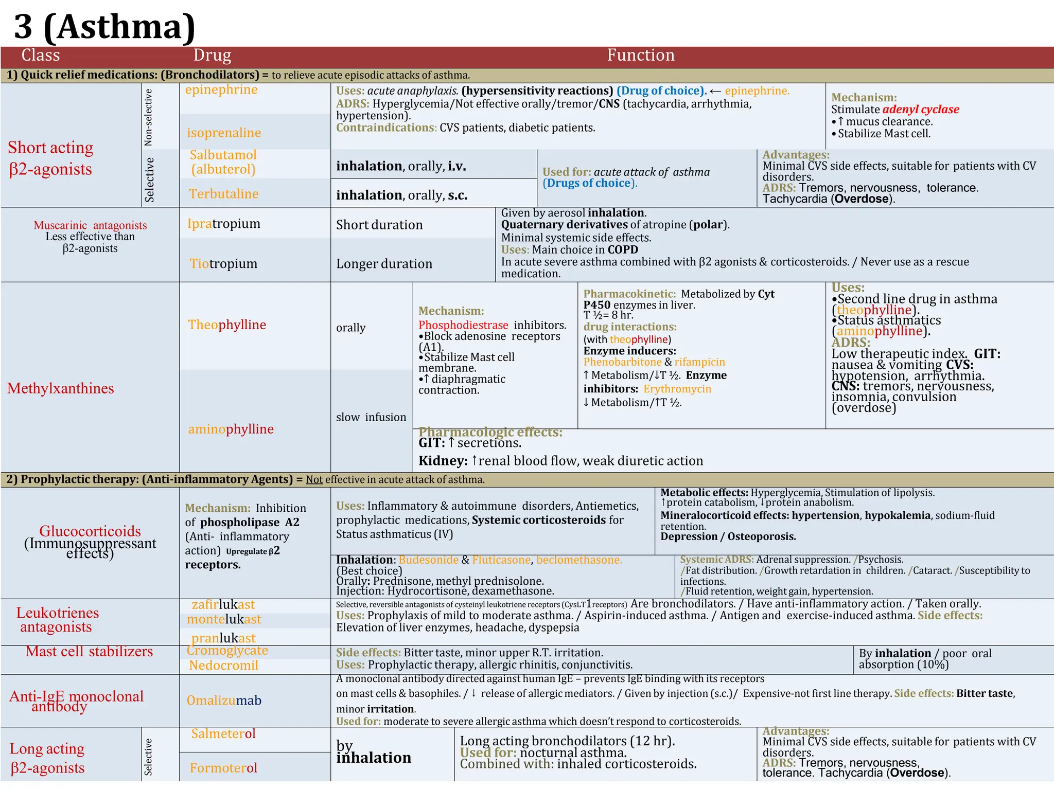 Respiratory drugs.pptx