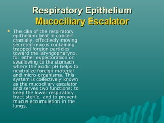Respiratory Epithelium
            Mucociliary Escalator
   The cilia of the respiratory
    epithelium beat in concert
    cranially, effectively moving
    secreted mucus containing
    trapped foreign particles
    toward the laryngopharynx,
    for either expectoration or
    swallowing to the stomach
    where the acidic pH helps to
    neutralize foreign material
    and micro-organisms. This
    system is collectively known
    as the mucociliary escalator
    and serves two functions: to
    keep the lower respiratory
    tract sterile, and to prevent
    mucus accumulation in the
    lungs.
 