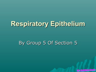 Respiratory Epithelium

  By Group 5 Of Section 5
 