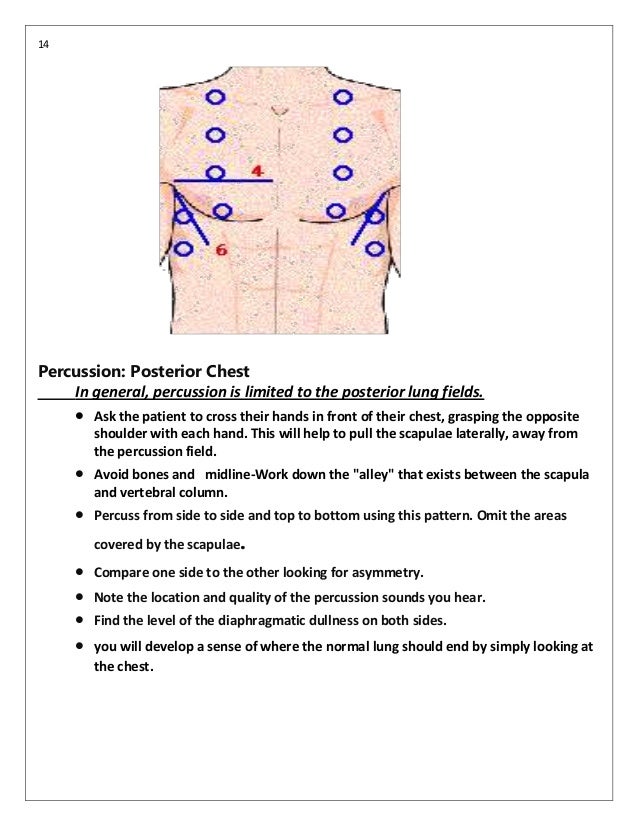 Respiratory examination
